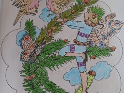 whatsapp bild 2024-02-08 um 12.01.18_67992817